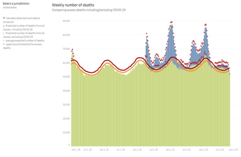 The Rise In Excess Death